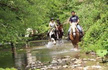 Private Horse Ride Adventure in Modica with Instructor