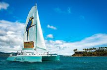 Champagne Sunset Sail from Margaritaville 