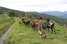 10 Days Essence of BHUTAN