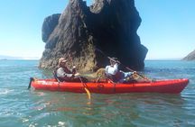 Ocean Kayaking Experience in Brookings