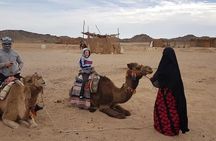 3-Hour Desert Safari Quad Bike and Camel Ride