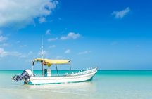 Holbox, all its beauty in 1 day (round trip, lunch and guided visit included)