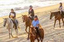 Cabo San Lucas Horseback Ride on Beach and Desert