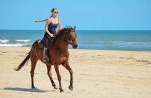 Cabo San Lucas Horseback Ride on Beach and Desert