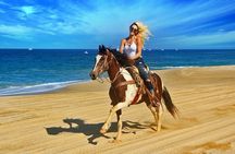 Cabo San Lucas Horseback Ride on Beach and Desert