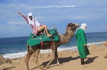 Cabo San Lucas Camel Ride and Encounter on Beach and Desert