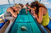 Cozumel Three Reefs Snorkeling Tour by Boat with Lunch and Drinks
