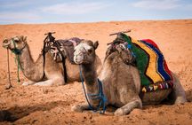 Merzouga 3-Days Desert Tour from Marrakech