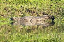 3 Nights 4 Days Comfortable Chitwan Safari Tour
