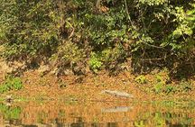 1 Night 2 Days Chitwan Jungle Safari Tour from Pokhara or Kathmandu