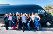 Texas Hill Country Group Wine Tour by Limousine
