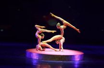 Beijing Evening Tour: Chaoyang Acrobatic Show with Peking Duck Dinner