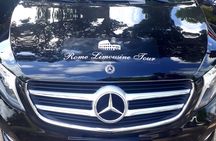 4-hour Rome tour with private driver