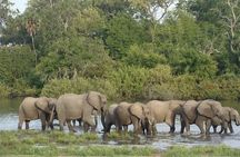 3 Days 2 Nights Nyerere National park Lodge Wildlife Safari