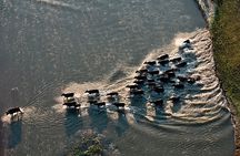 3 Days 2 Nights Nyerere National park Lodge Wildlife Safari