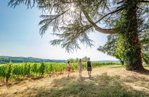 Exceptional visit and tasting of 7 wines