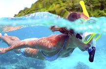 Jungle Adventure Tour in Cancun by Speedboat with Snorkeling