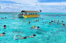 Half-Day Muri Lagoon BBQ Lunch Cruise including Snorkeling