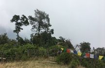 Australian Camp Easy Hiking from Kathmandu