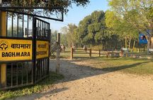 Chitwan Jungle Safari Tour