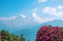 4 Days Poon hill trekking from Pokhara