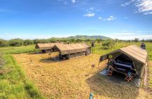 6-Day Private Tanzania Safari