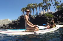 Sup Experiences in the ocean