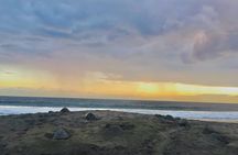 4 in 1 Tour - Mazunte, Cacao Factory, La Ventanilla National Park & Turtle Spawn