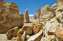 Route of the Andean salt flats