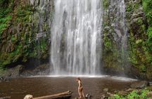 Day Trips COMBO with Materuni, Kikuletwa, Lake Jipe, Maasai Boma &Arusha N. Park