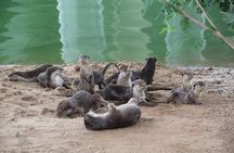 Singapore - bike adventure beyond the concrete jungle