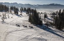 Zakopane and Horse Sleigh Ride in the countryside, private tour from Krakow