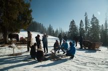 Zakopane and Horse Sleigh Ride in the countryside, private tour from Krakow