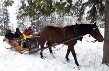 Zakopane and Horse Sleigh Ride in the countryside, private tour from Krakow