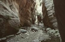 Jeep Safari to Akamas National Park: Avakas Gorge Tour from Paphos