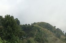 Day Tour to Dhampus with 4WD