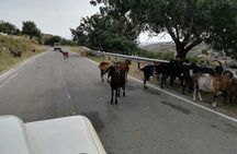 Jeep Safari Troodos - Kykkos monastery Waterfall and Venetian bridge from PAPHOS