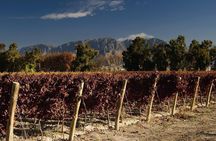 The Wine Route from San Juan