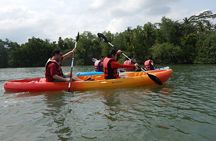 Singapore Round Ketam Kayaking Adventure in Pulau Ubin