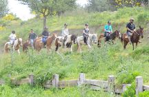 Kusadasi Horse Riding Beach and Forest options with Transfer 