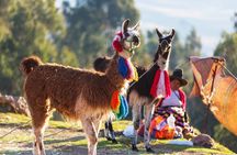 Half Day - Maras Moray & Ccorcco Community 