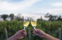 The Wine Route from San Juan