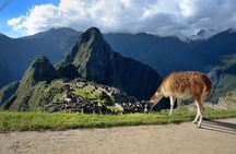 Full Day - Machu Picchu tour by Train - Group Service