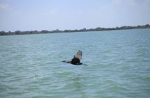 City tour of Bahir Dar