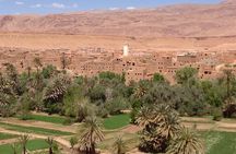 Marrakech to Ouarzazate: Private Day Trip to Kasbah Ait-ben-hadou