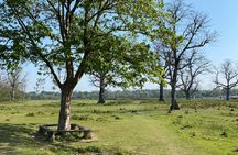 Nature Walk in Chitwan Jungle Safari with Guide
