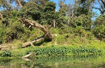 1 Night 2 Days Chitwan Safari Tour