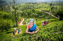 Sri Lanka 10 Days Tour Package Lifetime Experience