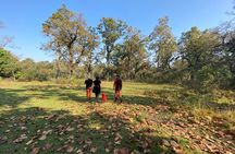 1 Night 2 Days Chitwan Jungle Safari Tour from Pokhara or Kathmandu