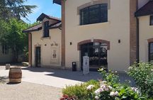Private wine tasting workshop by Dufouleur - Bourgogne